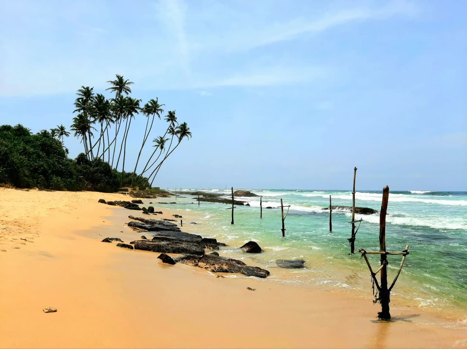 Turquoise ocean meeting a palm-lined tropical shore at golden hour