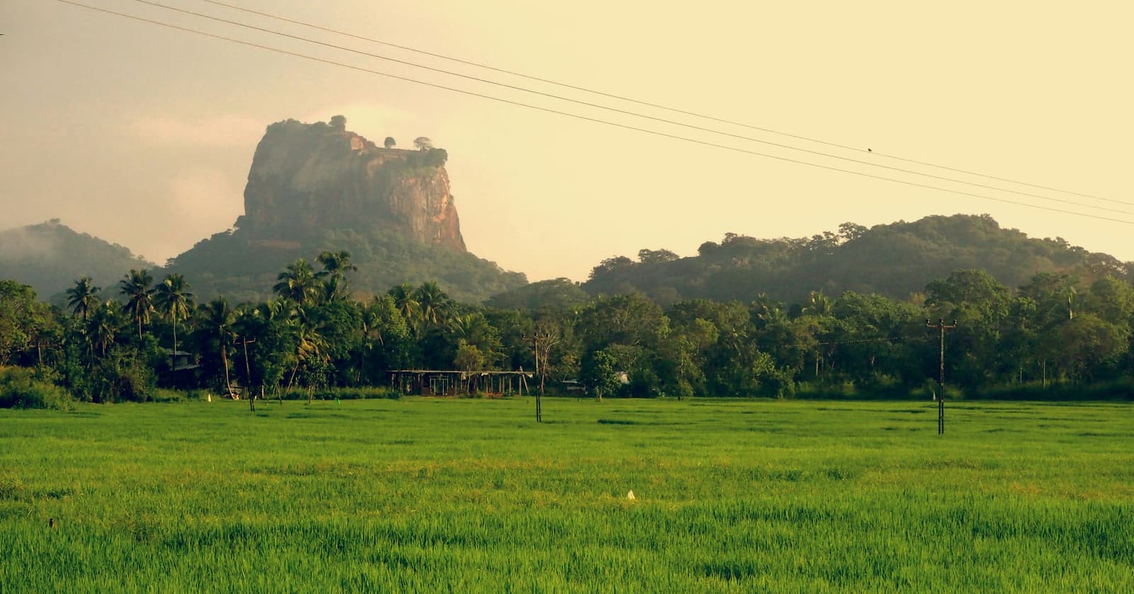 Sigiriya rock fortress rising above green jungle plains at golden hour