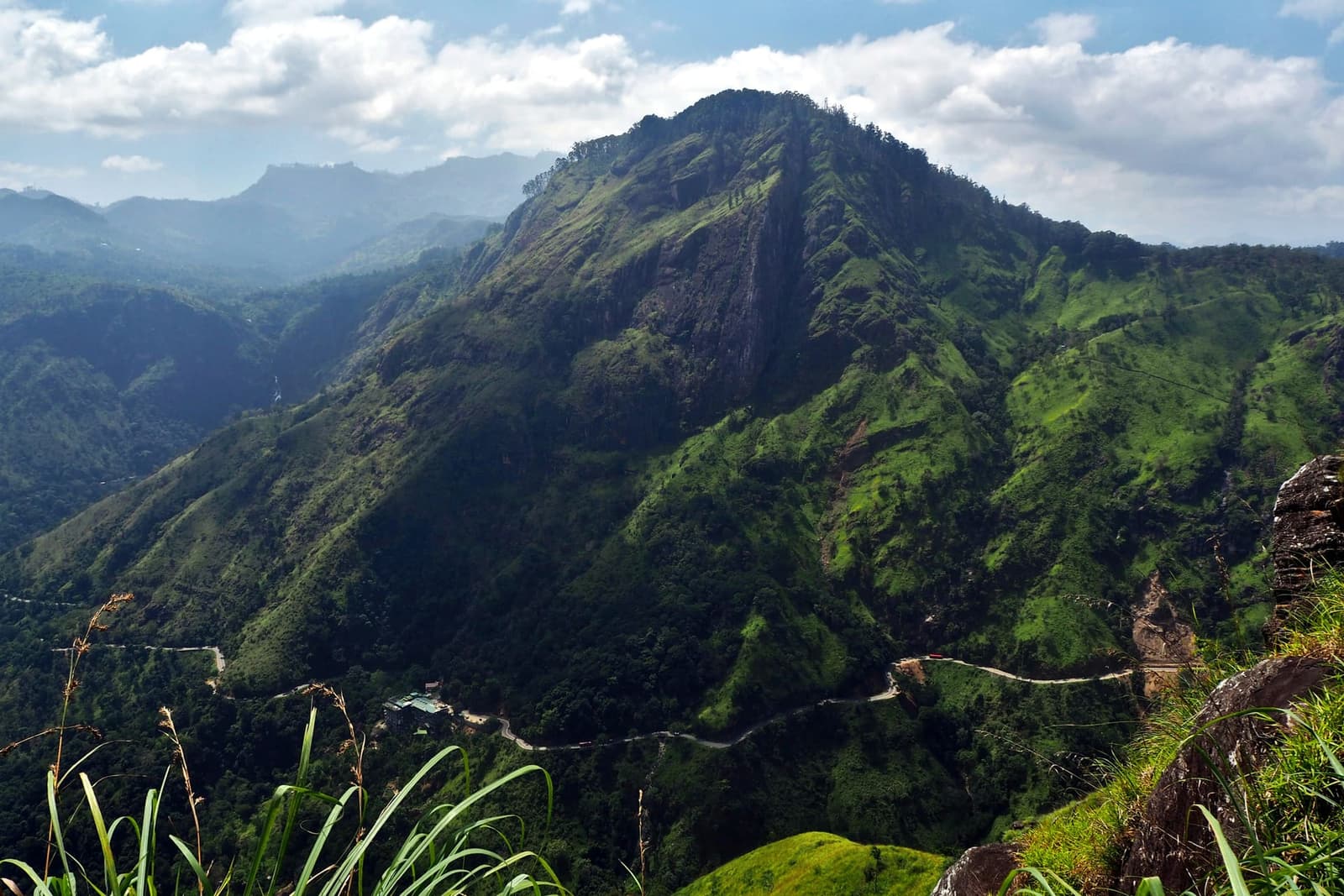 Tea pickers among emerald terraces